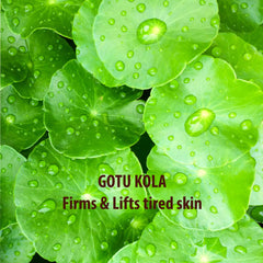 Gotu Kola & Sacred Lotus Cellulite Lotion
