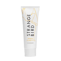 Inner Clarity Cleanser