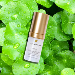 Gotu Kola & Yucca Facial Serum