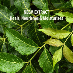 Neem  Night Cream
